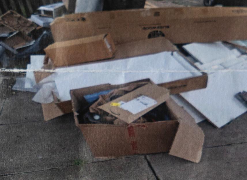 NINTCHDBPICT001038529840