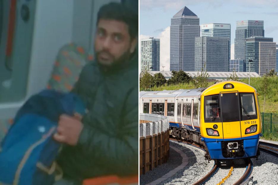 CCTV Footage Unveiled as Police Search for Man Who Harassed Woman on Train