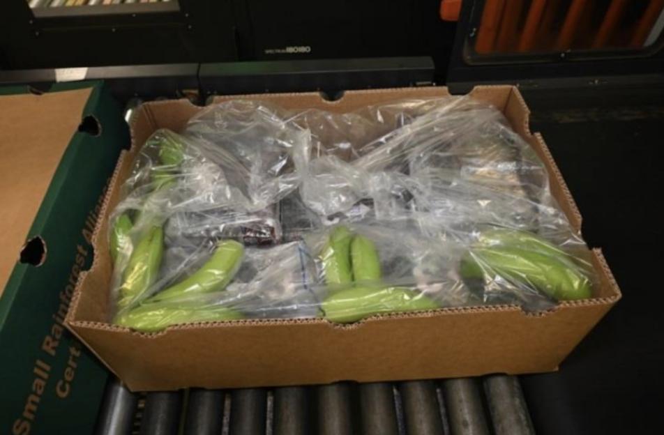 Police Uncover £200M Cocaine Haul Hidden in Bananas at UK Port