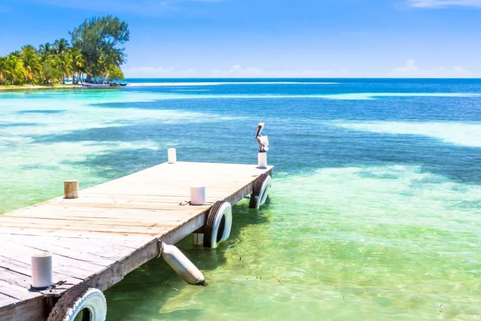 A wooden pier extending into the turquoise waters of Belize, with a pelican perched at the end.