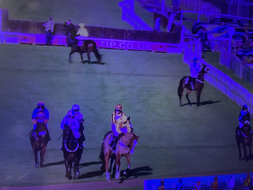 Horses and jockeys at a race track.