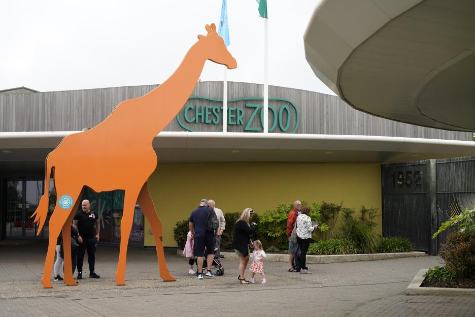 People waiting in line to enter Chester Zoo.