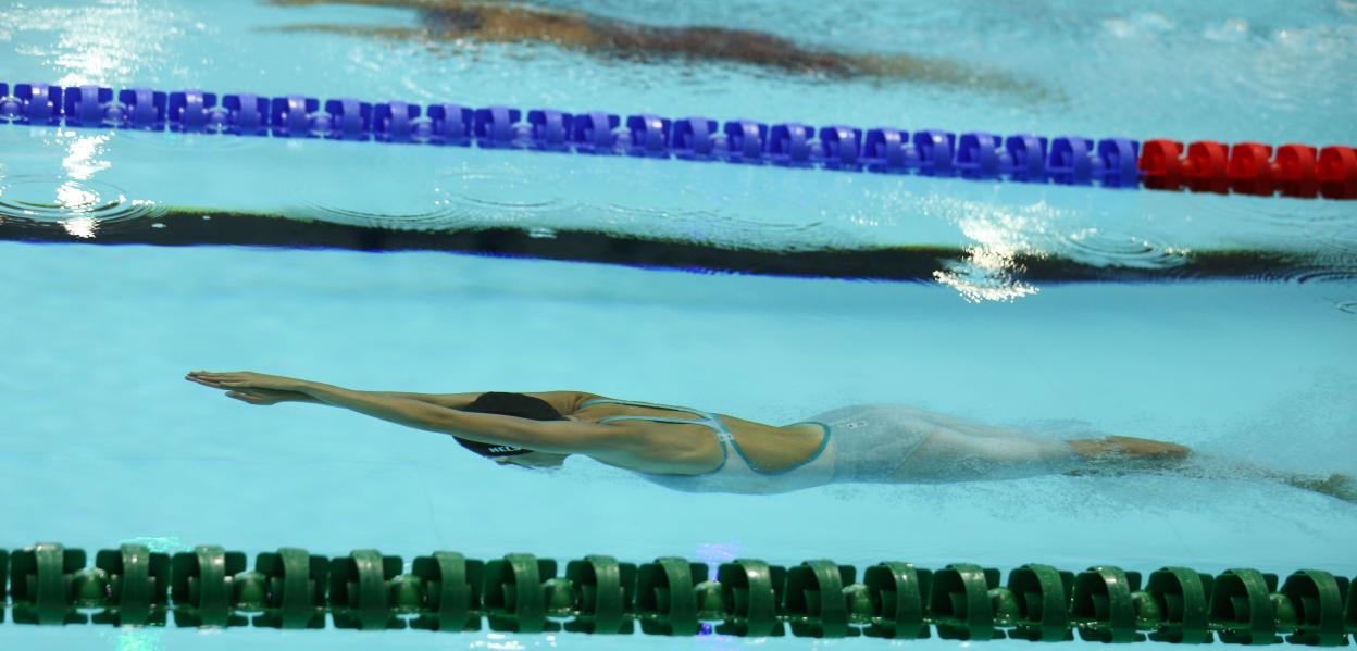 NINTCHDBPICT001072640001