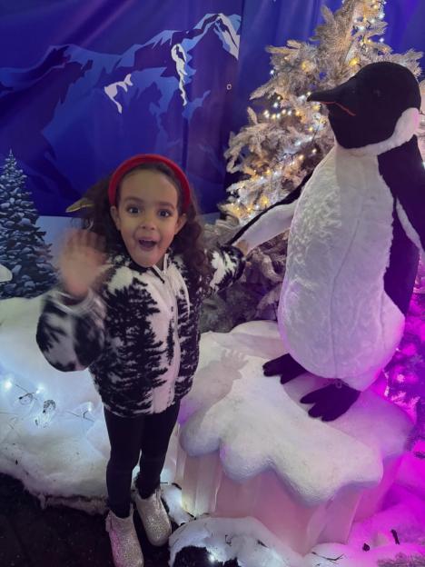 Malin Andersson Co-Parenting