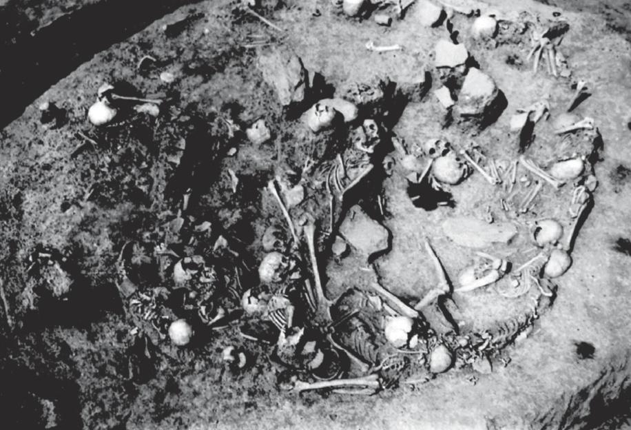 Scientists Shocked by Gruesome 2,800-Year-Old Mass Grave of Women and Children Found Bludgeoned to Death