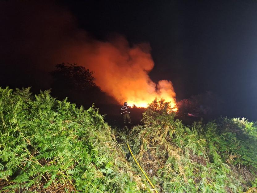 A firefighter in uniform is facing a large fire on a hill at night, with green vegetation in the foreground.