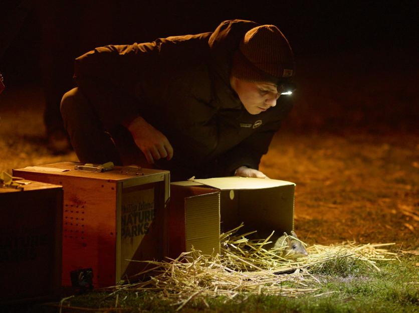 NINTCHDBPICT001075875603