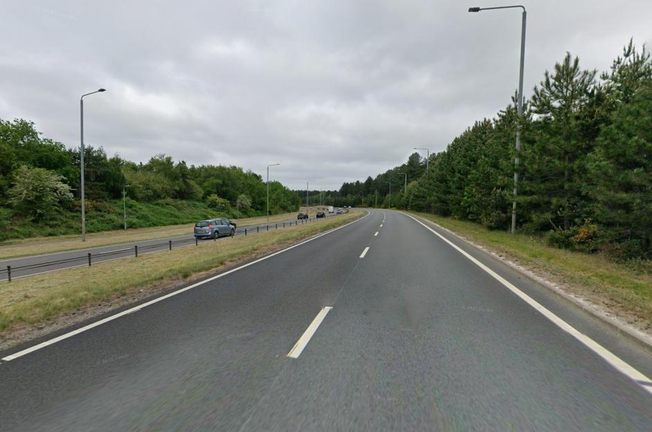 'Unraveling the Mystery: Human Remains Discovered in Woodland Near A-Road, Police Investigate Cause of Death'