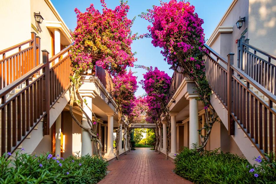 NINTCHDBPICT001072104943