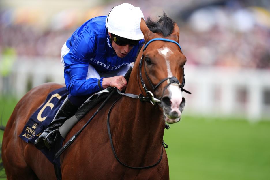 Betting on Juddmonte Paused as Ombudsman Wraps Up Newmarket July Course Investigation