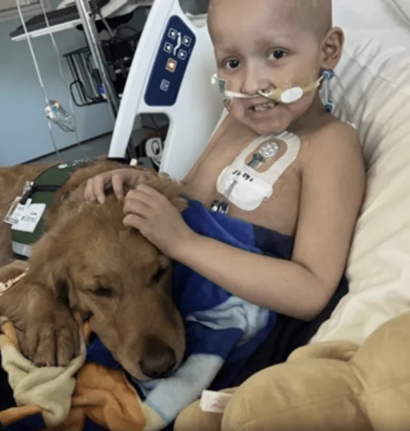 Wyatt, a young boy undergoing chemotherapy, in a hospital bed with his golden retriever.