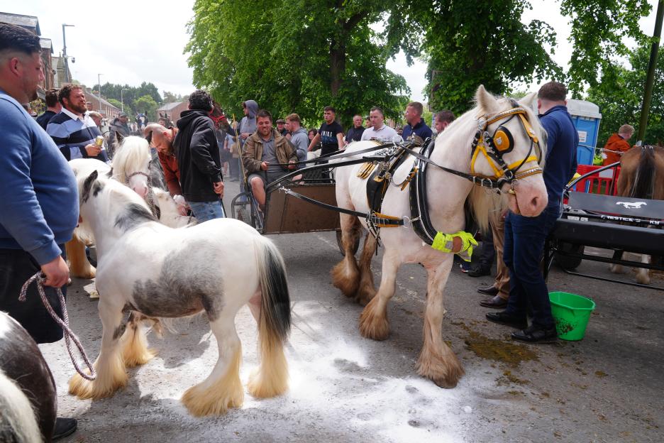 Appleby Horse Fair 2026
