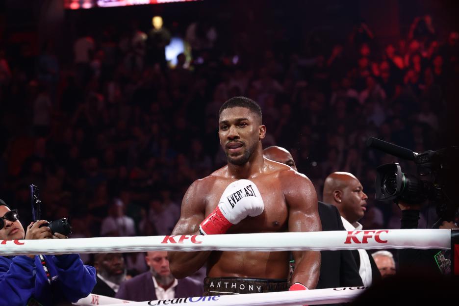 Netflix Ads Sponsors @ Jake vs Joshua