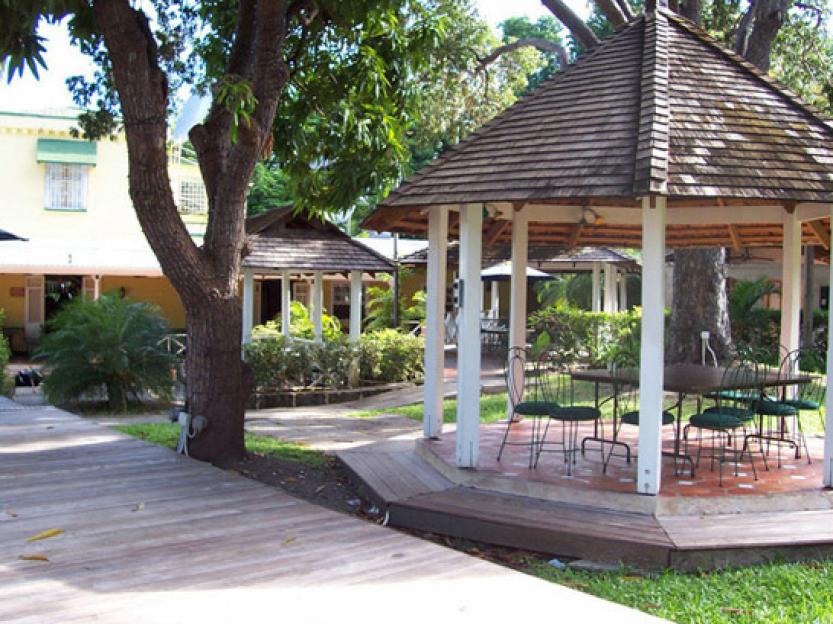 NINTCHDBPICT001057632091