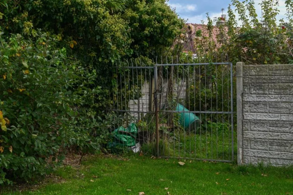Closed metal gates and overgrown vegetation at Sandringham Avenue Allotments.