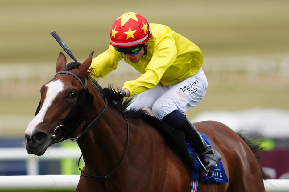 Race Day Chaos: Top Jockey Hospitalized as Multiple Horses Slip and Fall