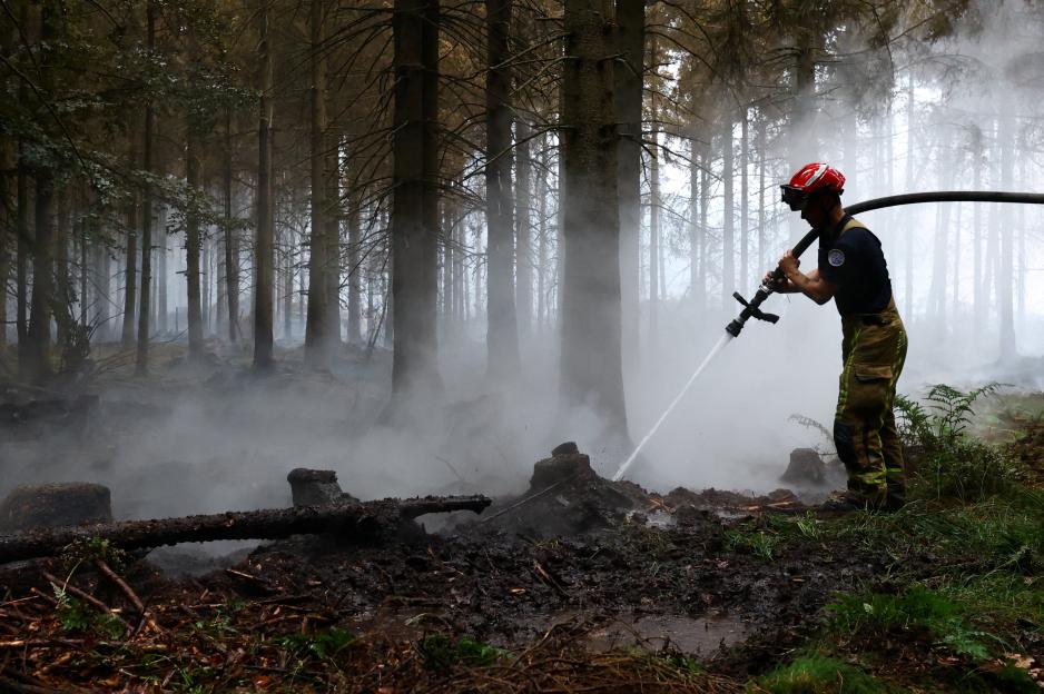 A firefighter in a red helmet and brown uniform pants extinguishes a wildfire with a hose in a smoky forest.
