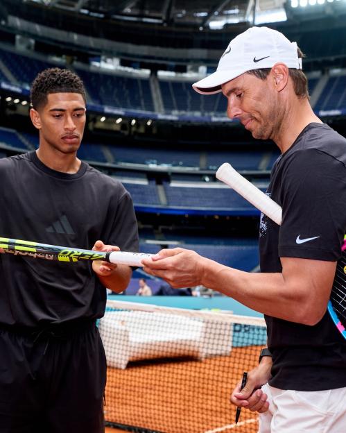 NINTCHDBPICT001075667190