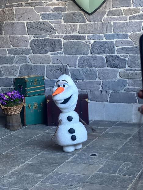 Olaf from Disney's Frozen.