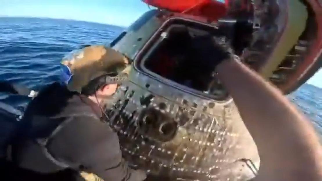 NINTCHDBPICT001073441097