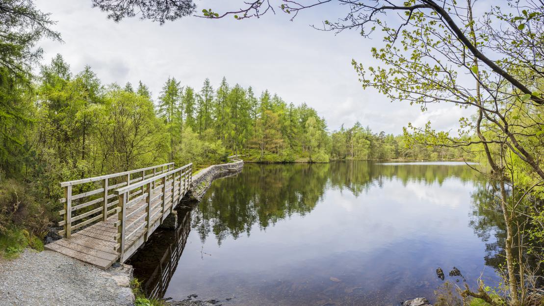 High Dam Tarn panorama.