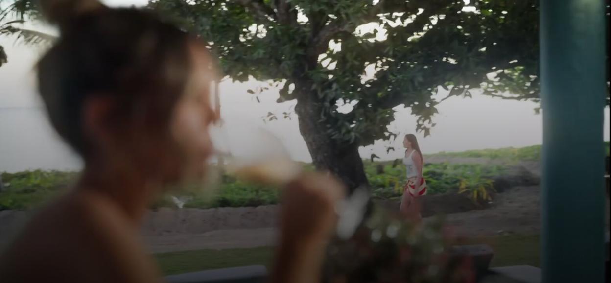 NINTCHDBPICT001065979666