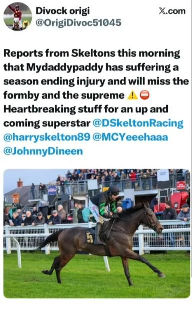 A horse with jockey number 5 on its side, being ridden by a jockey in green and black silks with white pants.