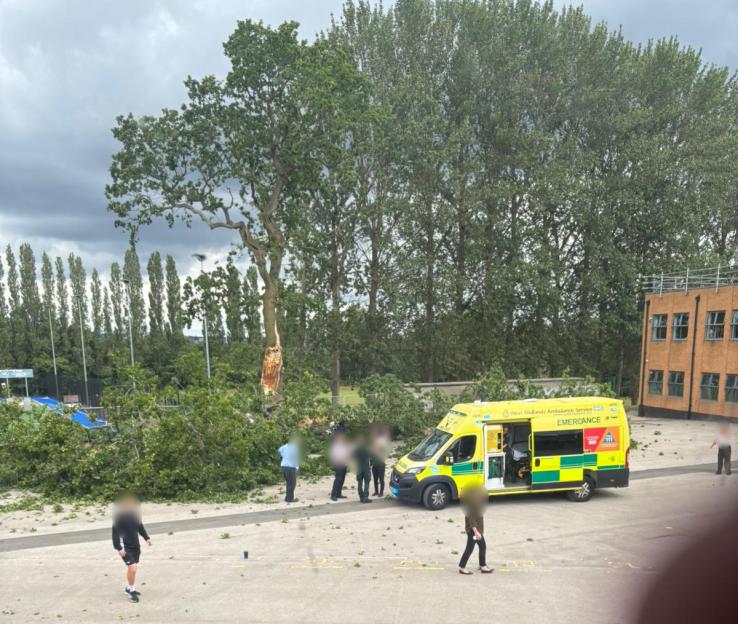 Teen Boy Critically Hurt, Two Others Hospitalized After Tree Collapse in School Playground