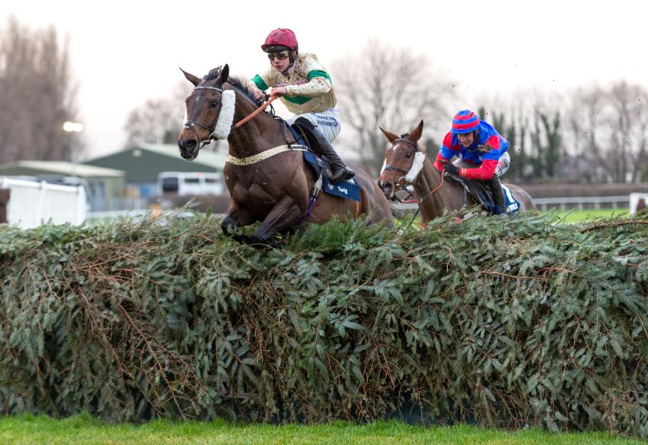 From £100 to Glory: Grand National Horse Chasing a £1 Million Prize!