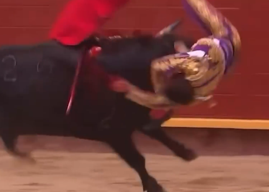 Bullfighter Gored by Rampaging Bull: Matador Fights for His Life with a 10-Inch Wound in Hospital