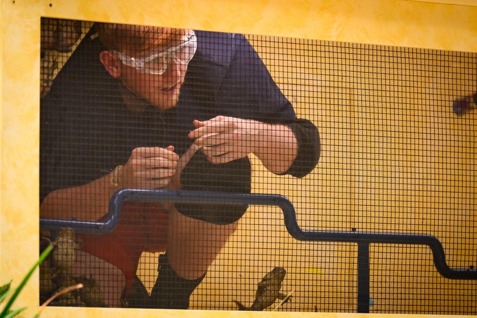 'Watch as Angry Ginge Loses it at Ant and Dec During Tense Trial!'