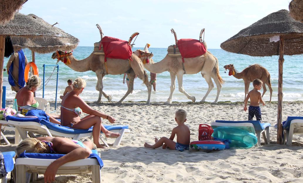Tourists relax on a beach on the island of Djerba with camels by the water.