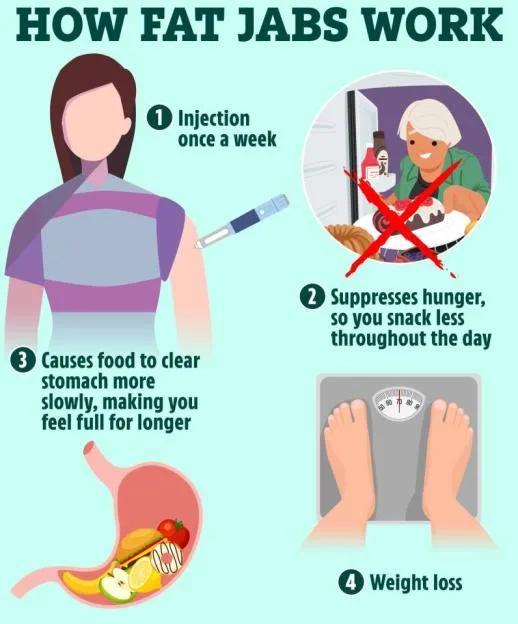 Illustration explaining how fat jabs work, showing an injection, suppression of hunger, slower stomach clearing, and weight loss.