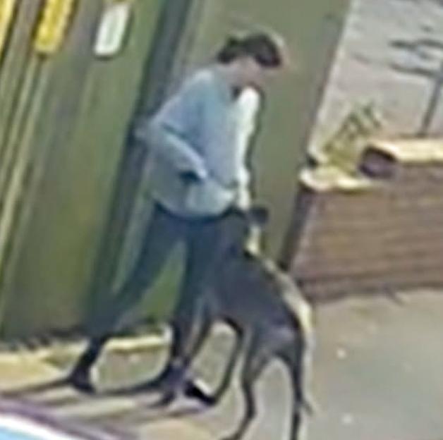 A woman in a light blue top and dark pants walks a dark-colored dog on a leash.