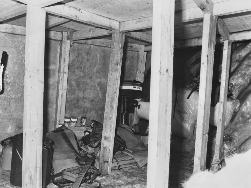 NINTCHDBPICT001040964345