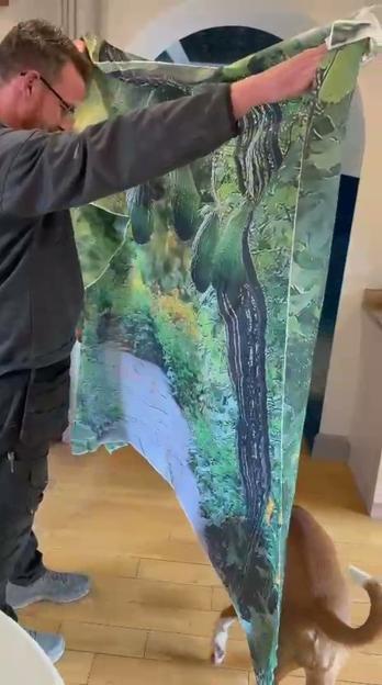 NINTCHDBPICT001074888001