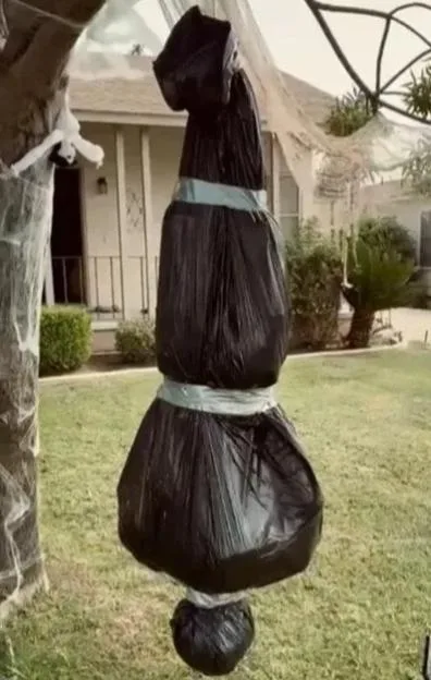 A body-shaped Halloween decoration made of black trash bags bound with duct tape hangs from a tree in a front yard.