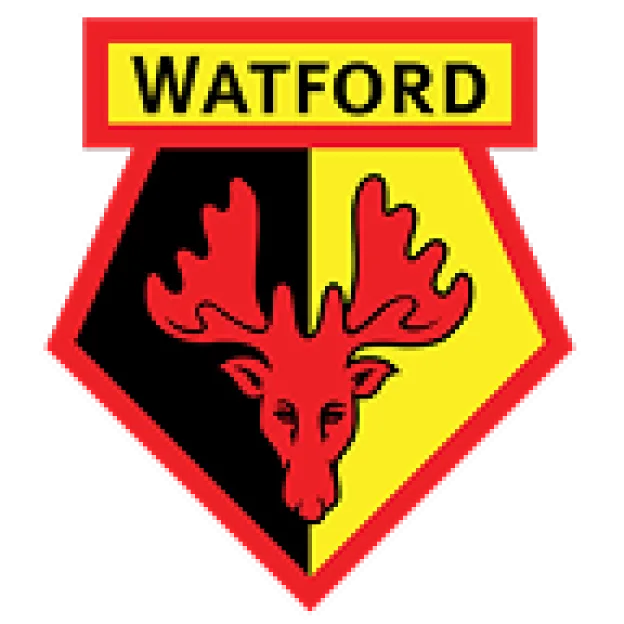 Efl-c-teamwatford