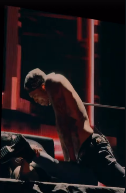 Chris Brown Faces Backlash for 'Shamelessly Degrading' Woman During Live Stage Performance