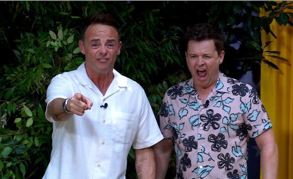 Ant McPartlin points forward, while Declan Donnelly yells.