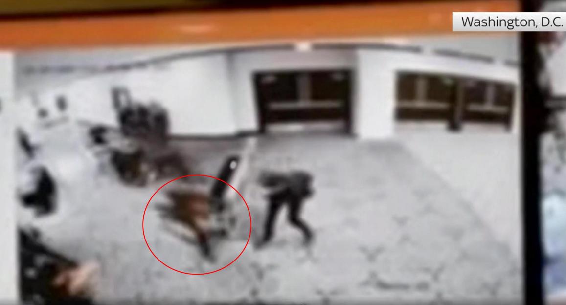 USA: A man shoots at Trump's dinner with reporters and is arrested. A police officer is hit. The president is safe.