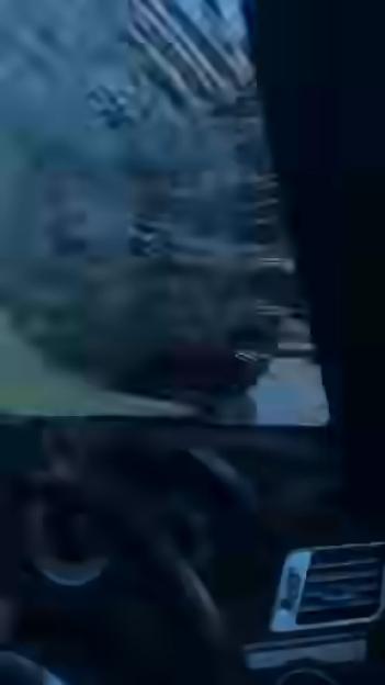 View from inside a car as a horse and buggy crash into the windshield.