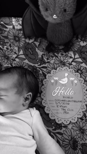 NINTCHDBPICT001065881725