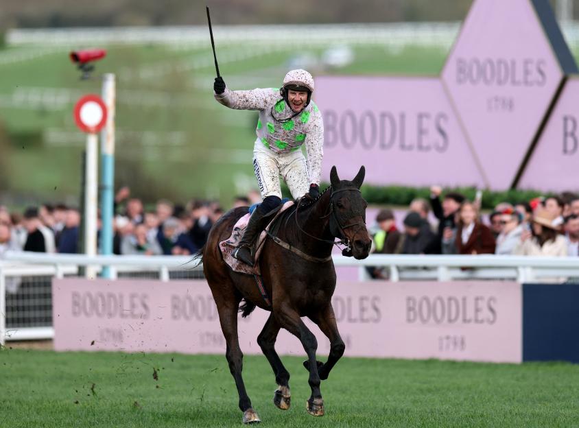 A Thrilling Victory and Heartfelt Stories, But One Aspect of the Cheltenham Festival Was Truly Shameful