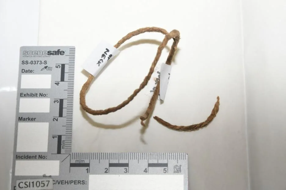 Twine labeled "NECK" next to a forensic ruler.