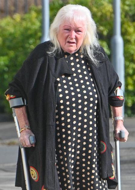 SNLawnmower - dispute could end in prison time after pensioner left lawnmower on to 'annoy' dinner party next door.