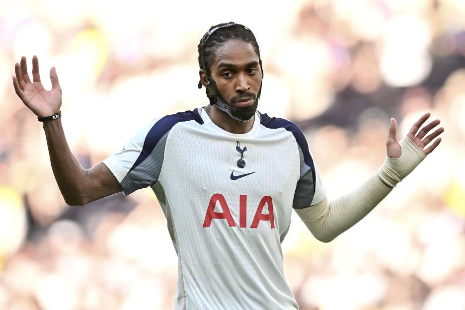 Tottenham Hotspur v Everton - Premier League