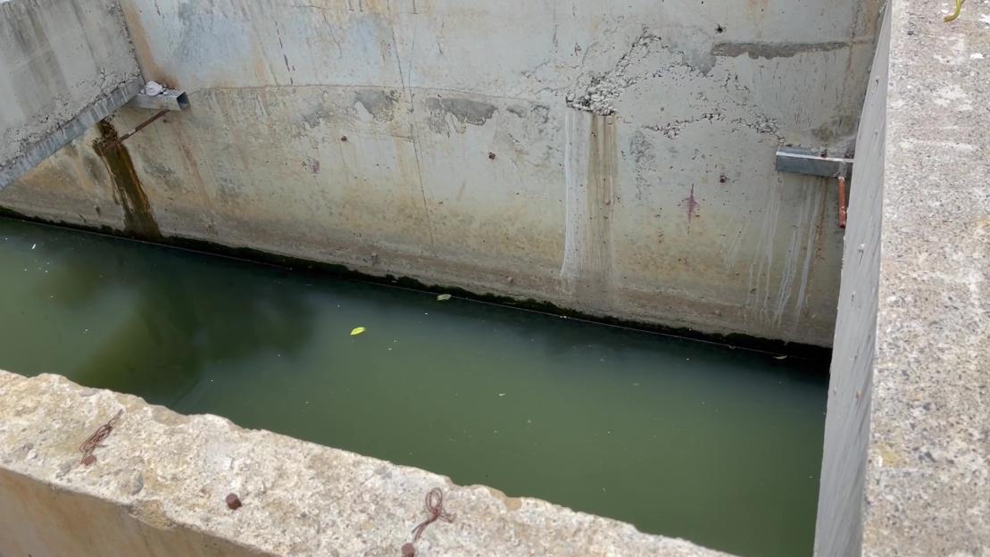 NINTCHDBPICT001068096232