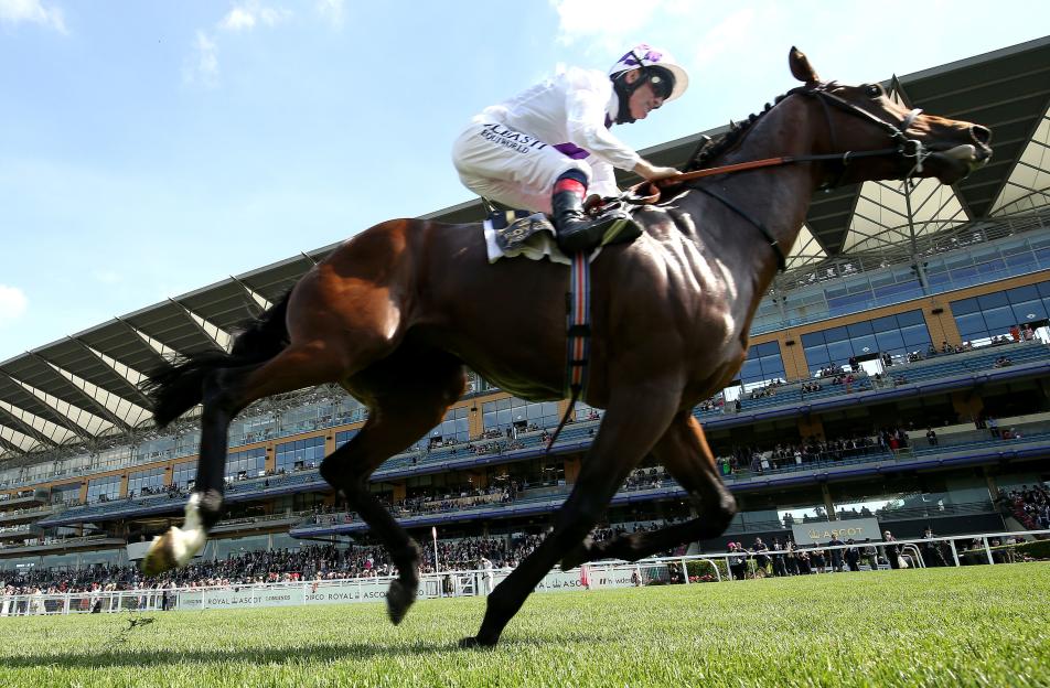 Jockey Kevin Manning riding Poetic Flare on a grass racetrack in front of a grandstand.