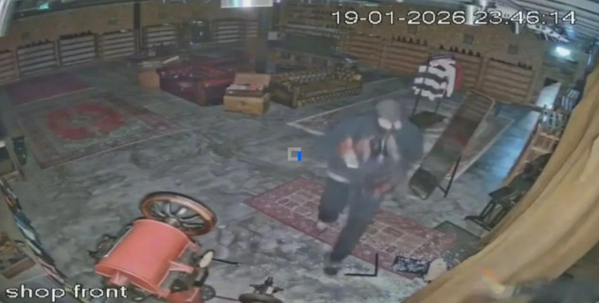 NINTCHDBPICT001052909280